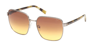 AF00019 Shiny Light Ruthenium / Coloured Havana
