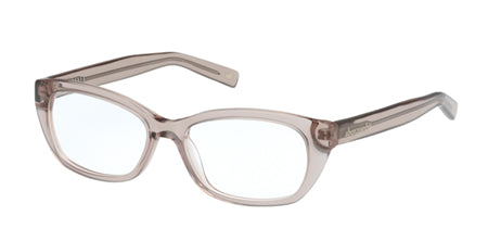 AK50002 Shiny Beige / Shiny Beige Main image