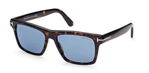 FT0906 Dark Havana / Dark Havana