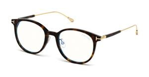 FT5644-D-B Dark Havana / Shiny Deep Gold