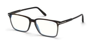 FT5696-B Havana/Gradient / Dark Havana