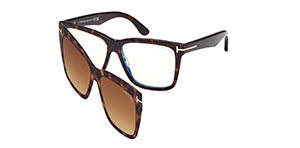 FT6069-B Dark Havana / Dark Havana