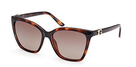 GU00191 Dark Havana / Dark Havana Main image