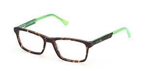 GU9206 Dark Havana / Shiny Light Green