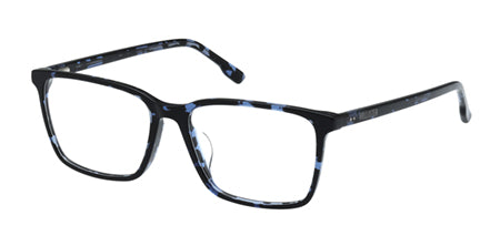 HL50029