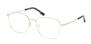 HL50046 Shiny Pale Gold / Shiny Pale Gold