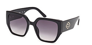 HM00017@55 — HM00017 - 55 - 01B Main image