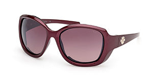 HZ0049 Violet/Pearl / Violet/Pearl