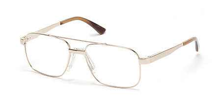 JL1002 Shiny Pale Gold / Shiny Pale Gold Main image